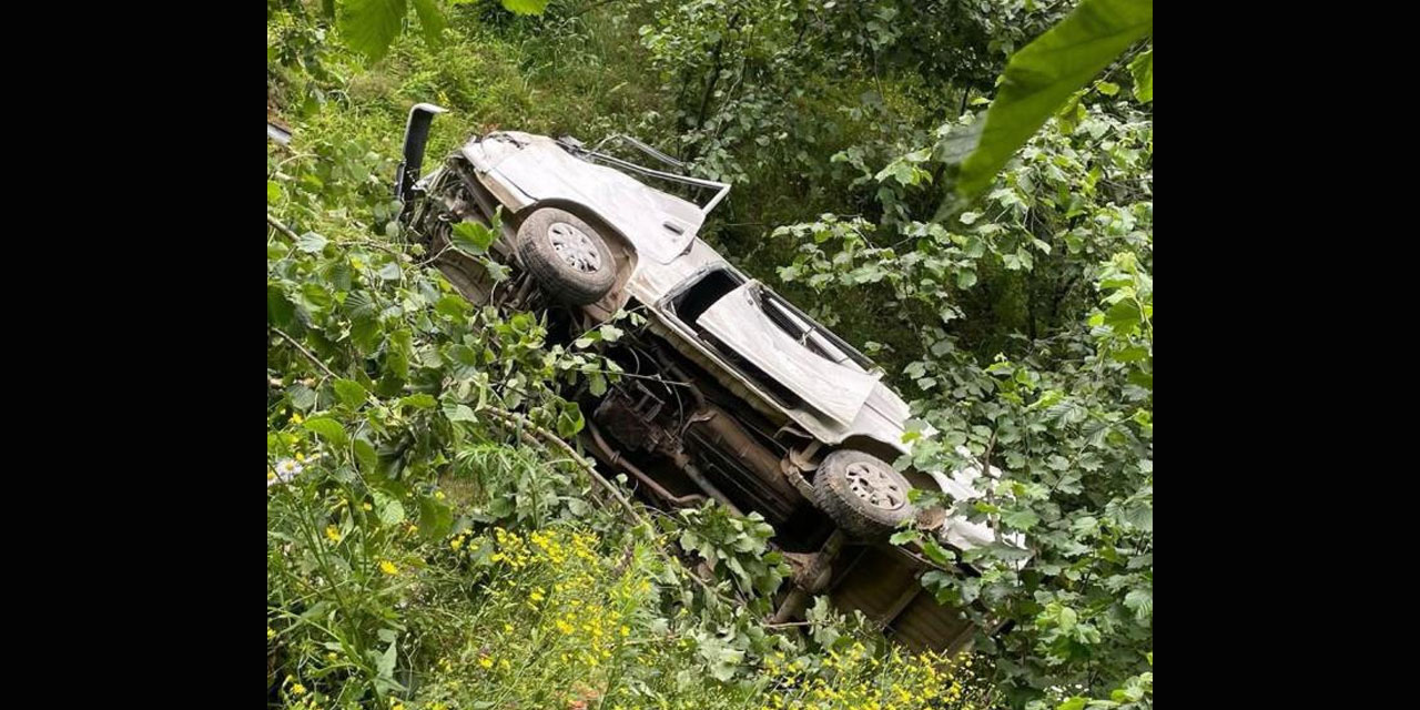 Giresun'da şarampole devrilen kamyonetin sürücüsü öldü