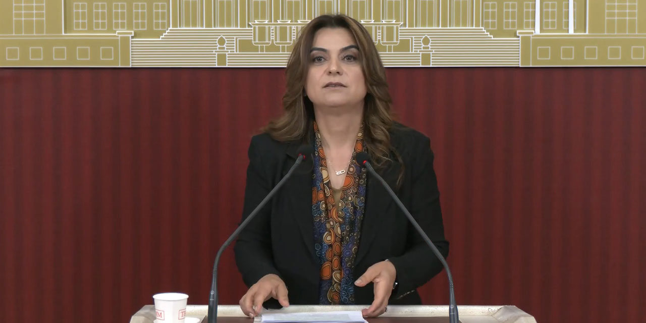 DEM Parti'li Koçyiğit: Çerçeve yasanın bir an önce TBMM'ye gelmesi gerekiyor