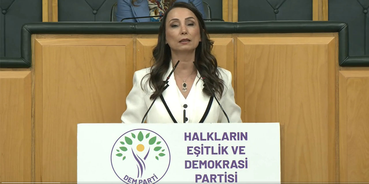 DEM Parti'li Hatimoğulları: Çerçeve yasanın acilen çıkması lazım