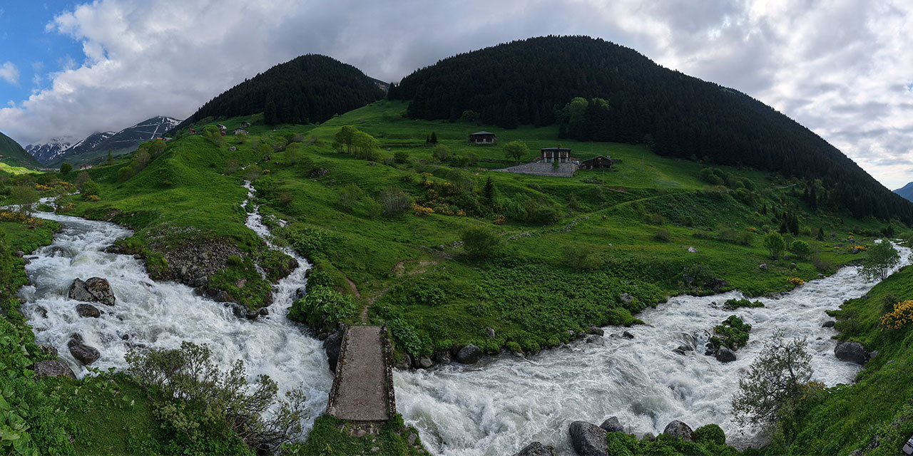 Rize Yaylalarında Gecikmeli Tablo: Beyaz Örtü Gitti, Yeşil Geri Geldi!
