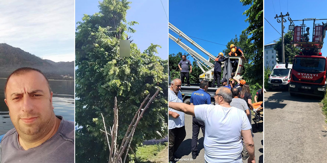 Rize'de ıhlamur toplarken elektrik akımına kapılan vatandaş hayatını kaybetti