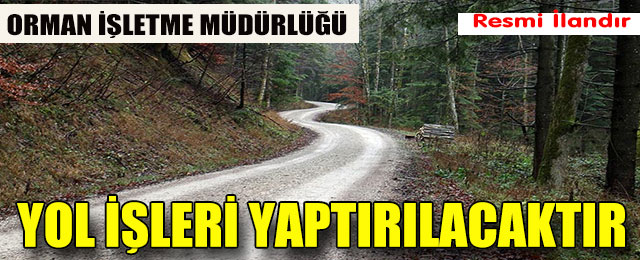 Orman Yolları Büyük Onarım Yapım İşi