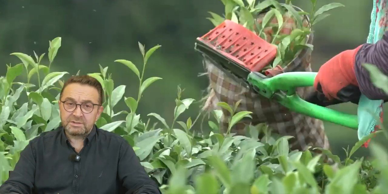 Rize Ticaret Borsası Başkanı Erdoğan “Daha zor bir sezon yaşayacağız”
