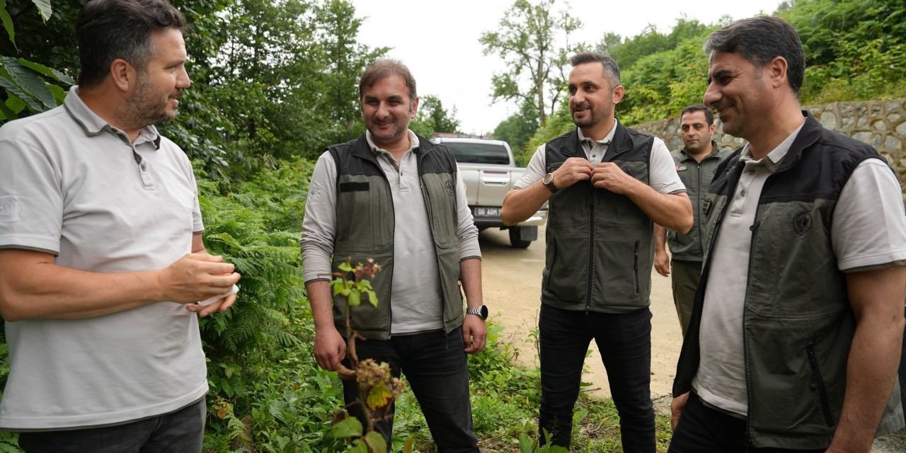 Artvin’de ormancılık çalışmaları incelendi