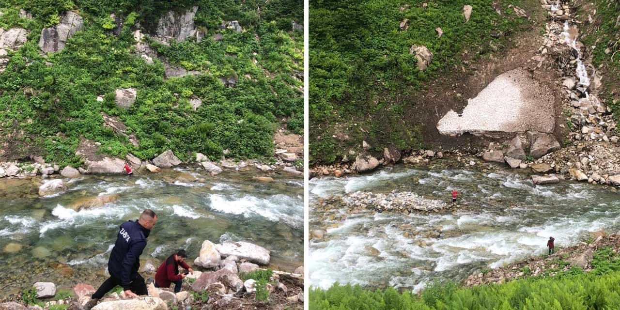 Papağanını kurtardı, kendisi mahsur kaldı
