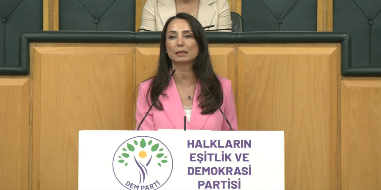 DEM Parti'li Hatimoğulları: Temmuz ayında çerçeve yasayı çıkaralım
