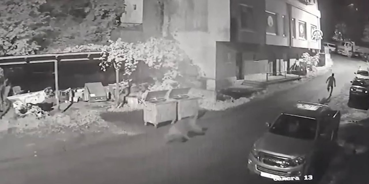 Rize'de bir kişinin anne ayı ve yavrularından kaçış anları güvenlik kamerasında