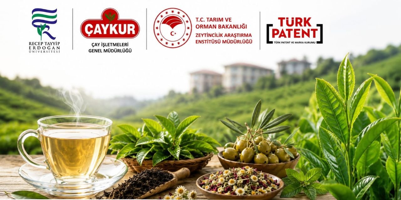 Rize Çayı ile Zeytin Yaprağı Aynı Fincanda Buluştu, Tescili Aldı