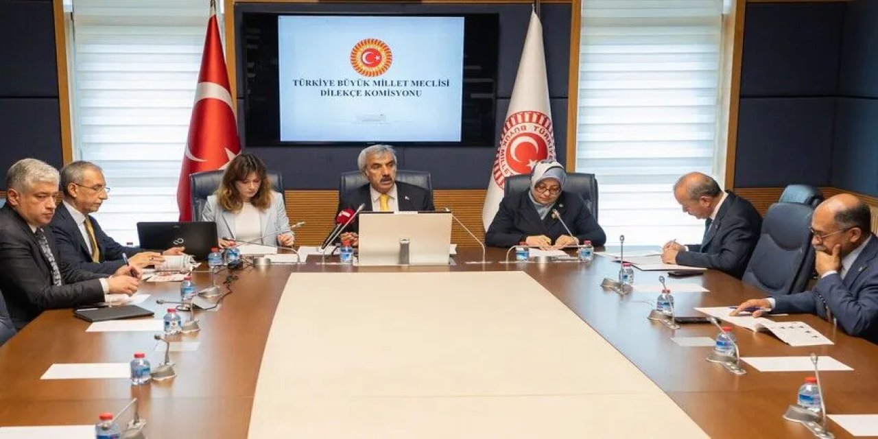 Meclise "İstanbul kışlık, Ankara yazlık başkent olsun" başvurusu
