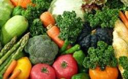 Kış hastalıkları kalkanı 7 gıda