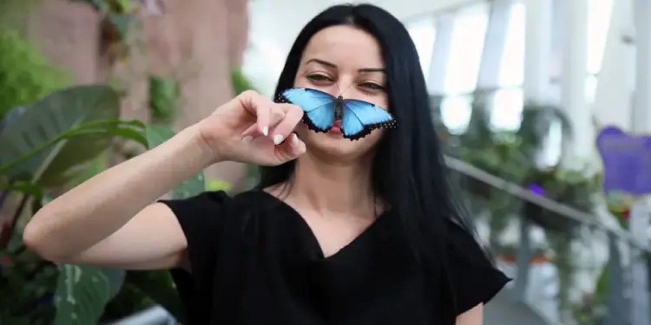 Kelebeklerin ömrüyle ilgili inanış yanlış çıktı