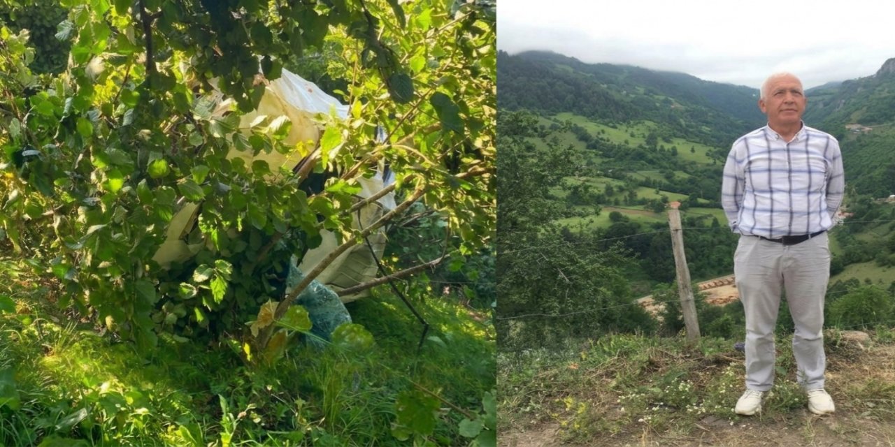 Giresun’da kamyonet fındık bahçesine devrildi: 1 ölü
