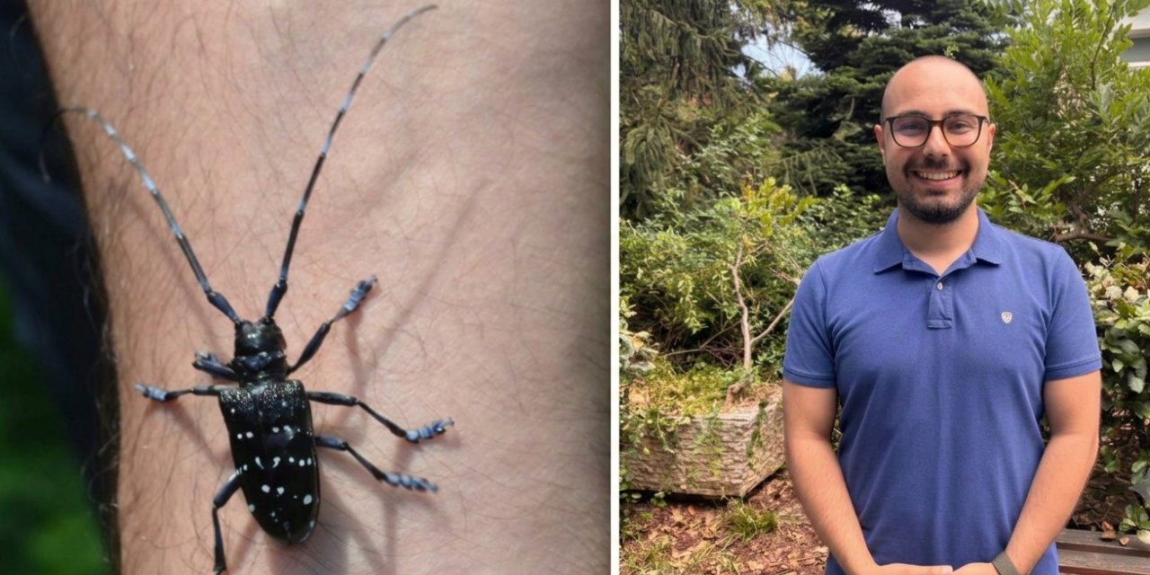 En son Rize'de görülen 'Drakula' böceği Karadeniz'de yayılıyor