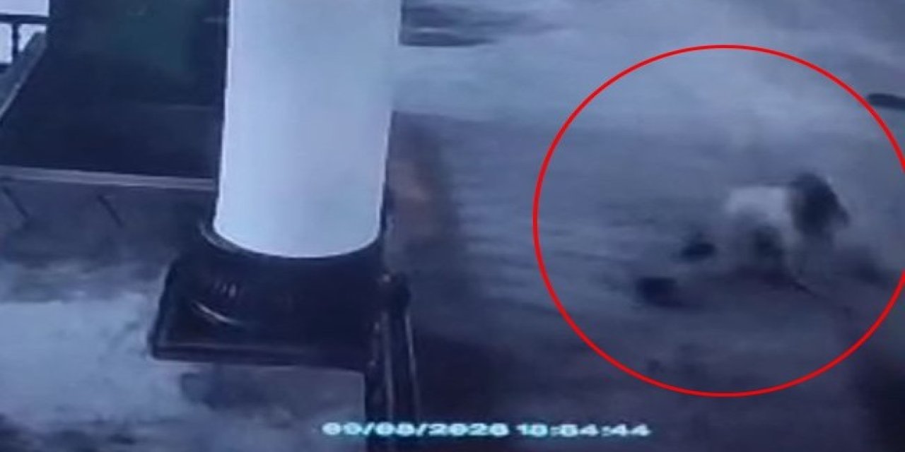 Görele'de çocukların camideki iddialaşması ucuz atlatıldı: Caminin ikinci katından atlayan çocuk hafif yaralandı