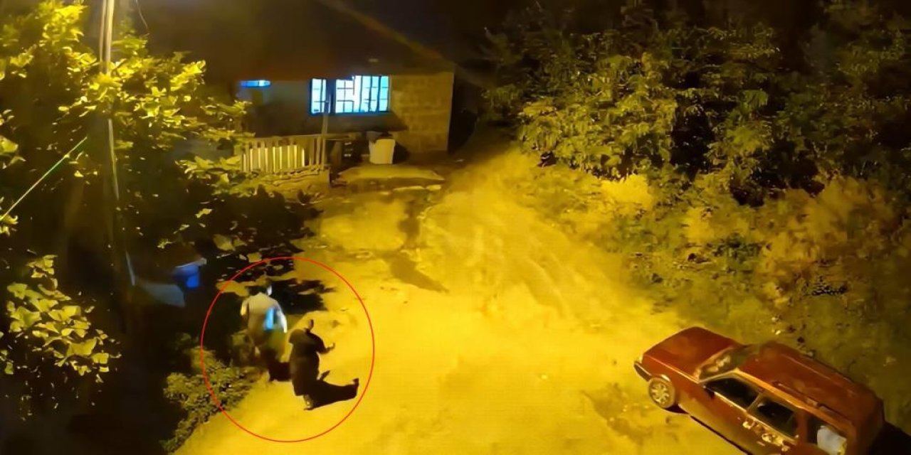 Cesaretleri ayının sesini duyana kadardı