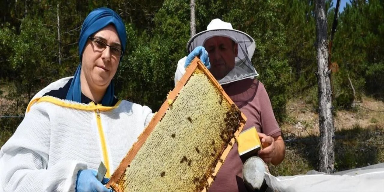 Eşinden devraldığı tek kovanla başladığı arıcılıkta sayıyı 100'e çıkardı