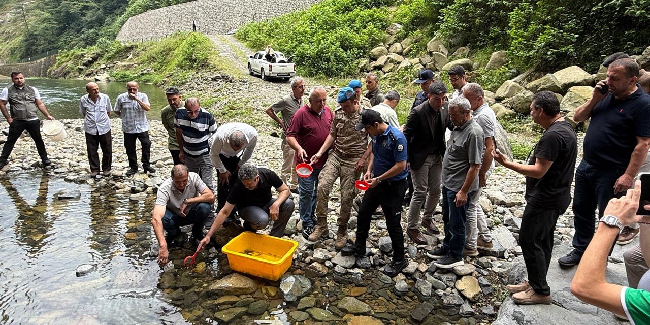Rize'de derelere 25 bin kırmızı benekli alabalık salındı