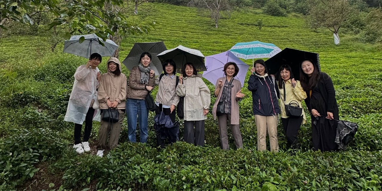 Japonya'dan Rize'ye Uzanan Çay Kültürü Yolculuğu