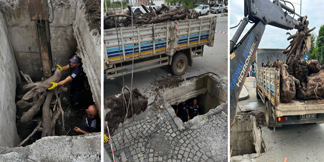 Menfezler temizlendi, çıkan kütükler şaşırttı