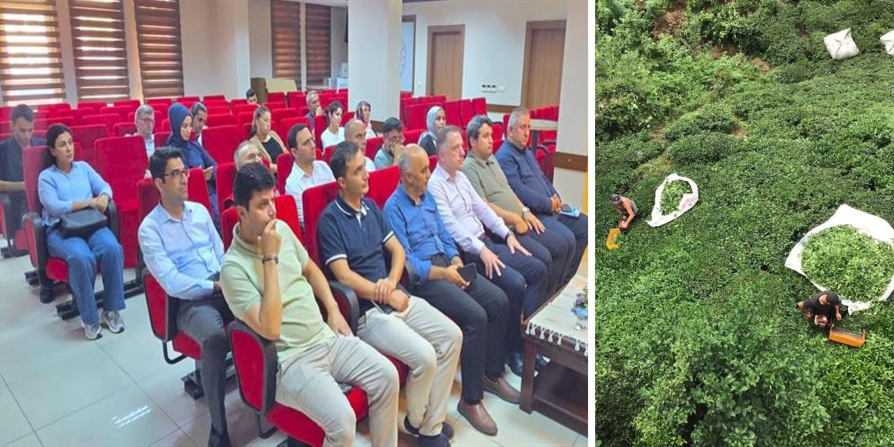 Rize ve Trabzon’da sözleşmeli üretim için hazırlık