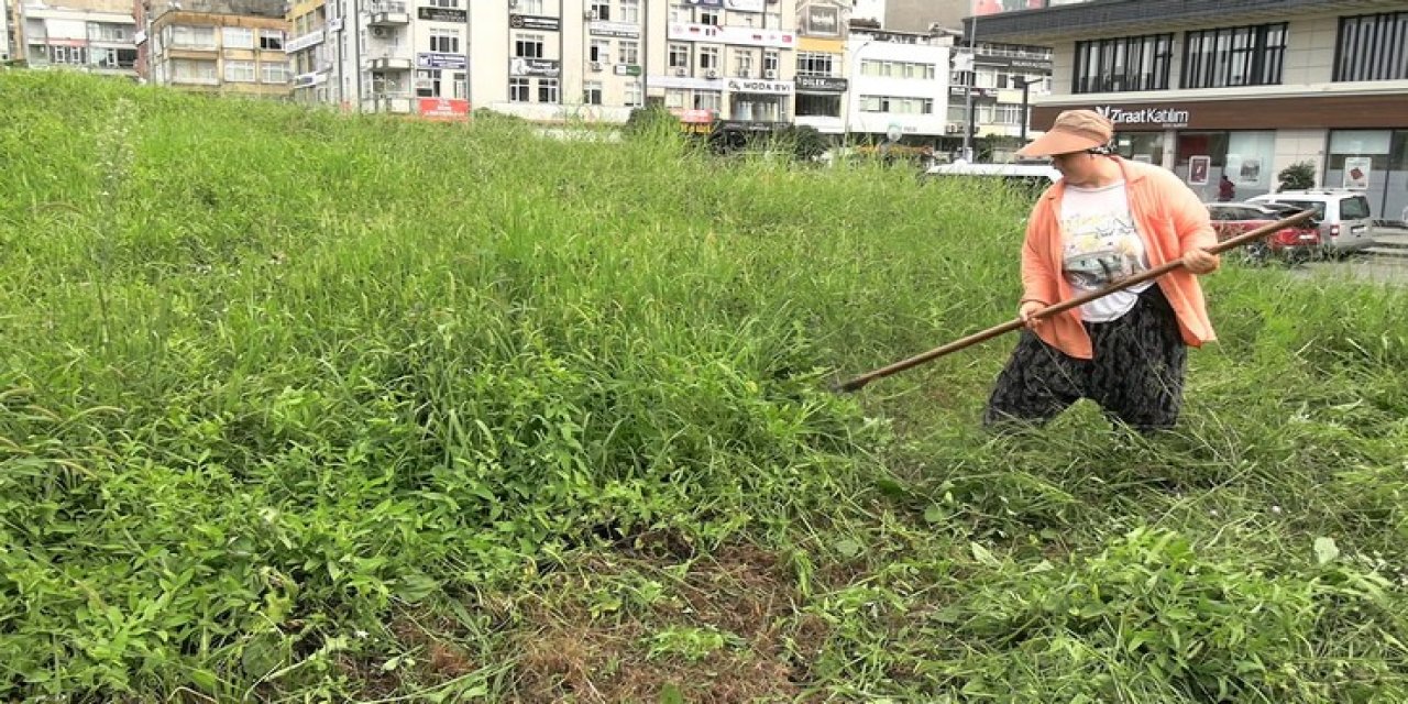 Rize'de ilginç geçim yolu: Şehir merkezinde tırpanla geçim mücadelesi