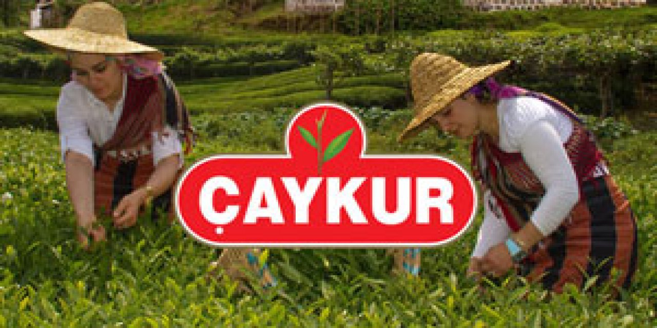 ÇAYKUR 3. Sürgünü Açtı, İlk Gün 1250 Ton Yaş Çay Aldı