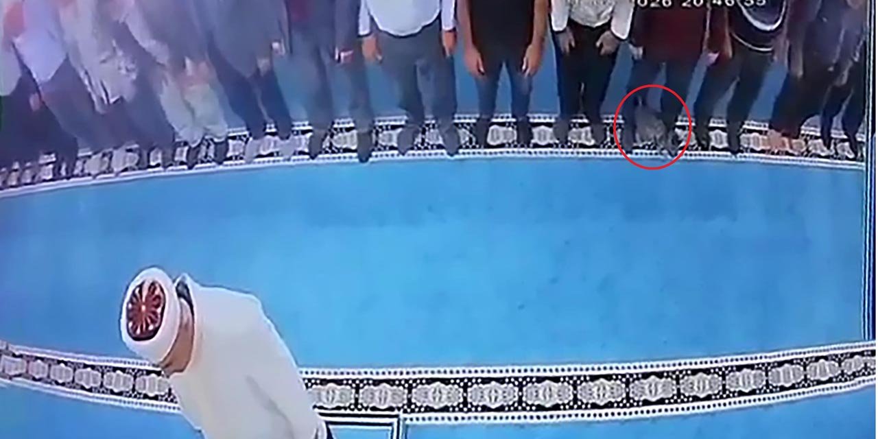 Camide kediye tekme atan kişi gözaltına alındı