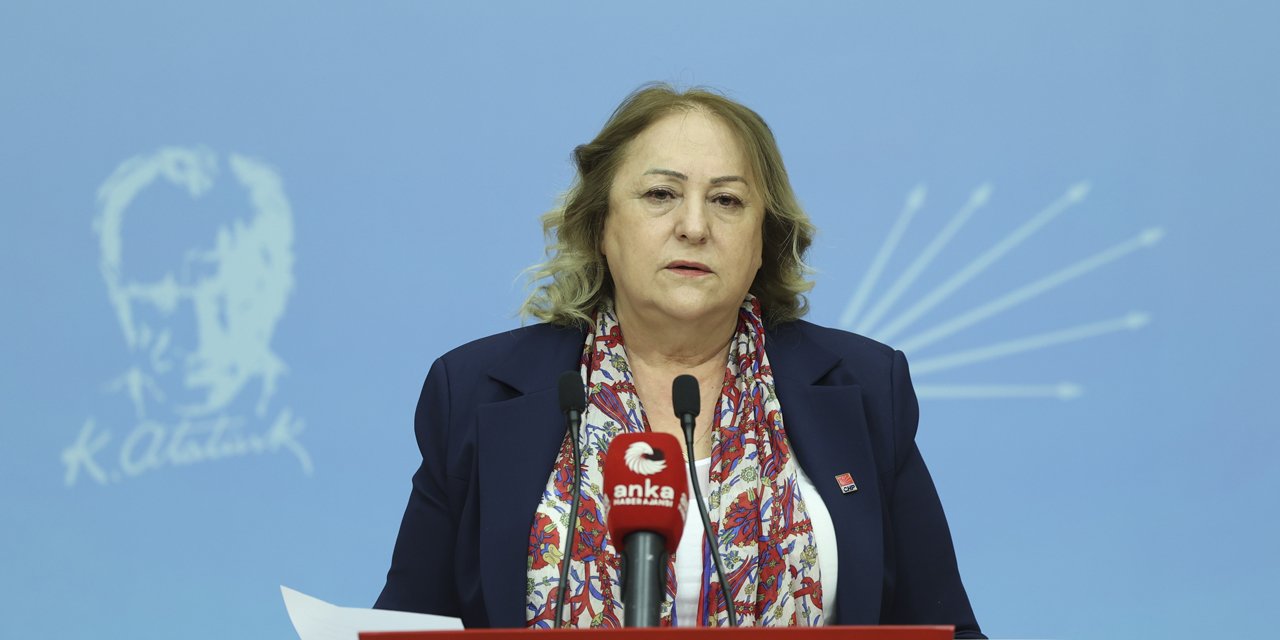 CHP'li Gülsever: Çocuklarımıza eğitimde fırsat eşitliği istiyoruz