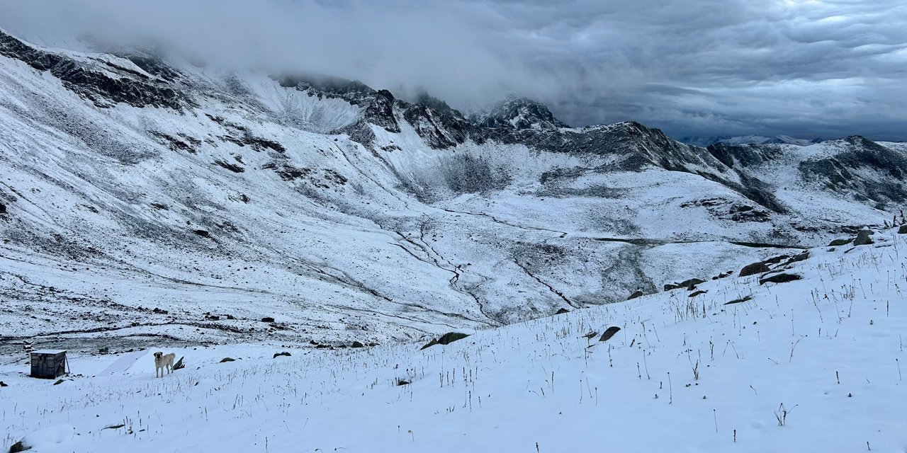 Rize'de Kaçkar Dağları beyaza büründü