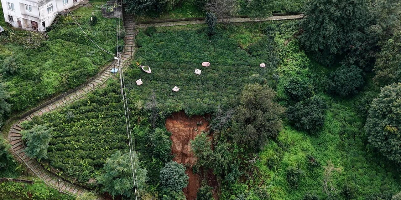 Rize'de heyelanlı bölgede çay hasadı