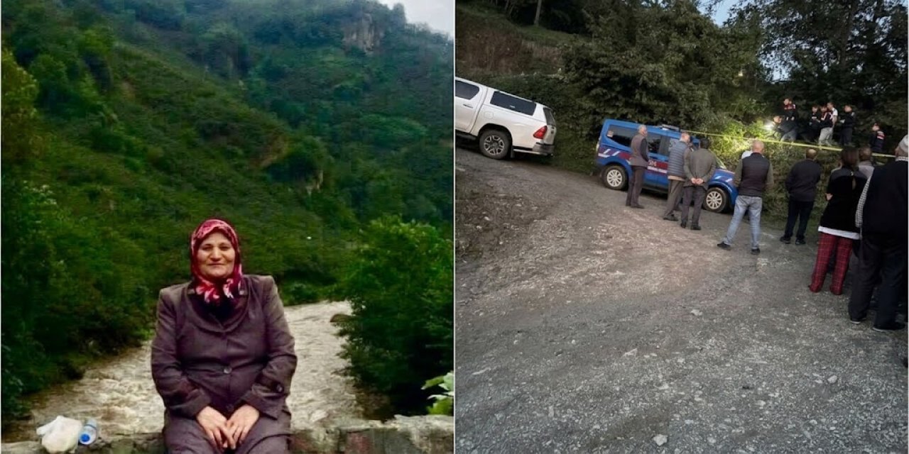 Giresun’da bahçede düşen kişi hayatını kaybetti