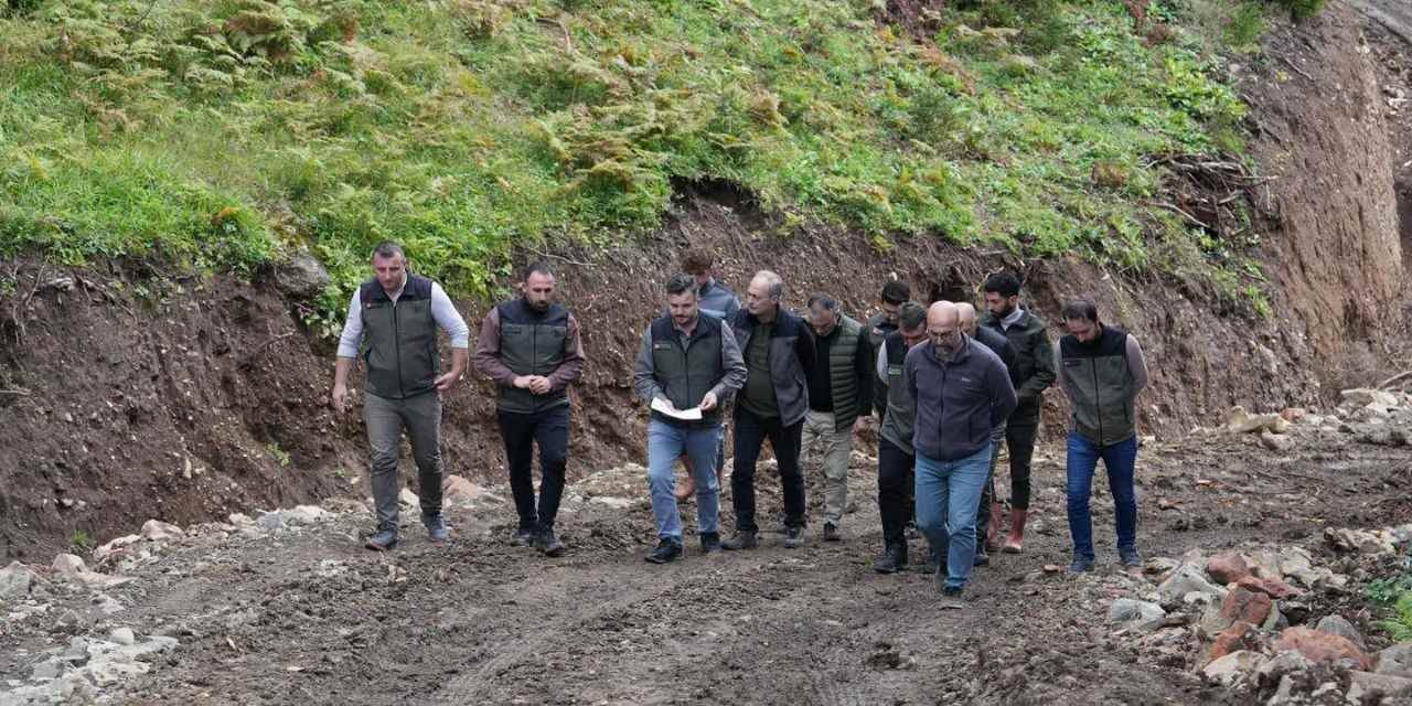 30 Km Orman Yolu Planlanan Şavşat’ta inceleme