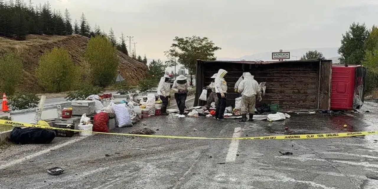 Bal ve arı kovanı yüklü kamyonet devrildi; 3 yaralı
