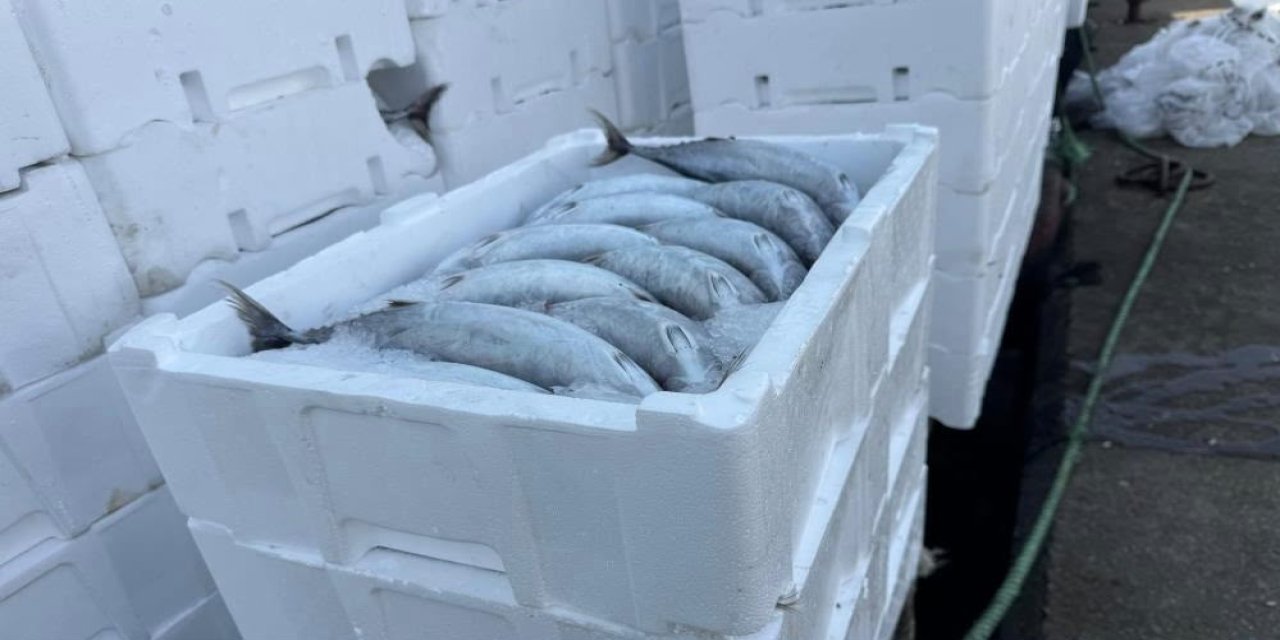 Palamudun içine konulduğu strafor köpük kasasının fiyatı palamuttan 3 kat pahalı