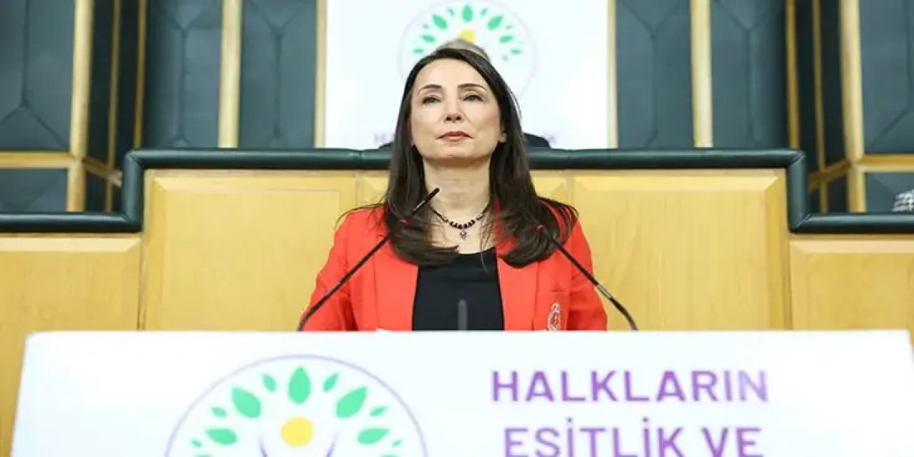 DEM Parti’li Hatimoğulları: Meclis’te komisyon kurulmalı