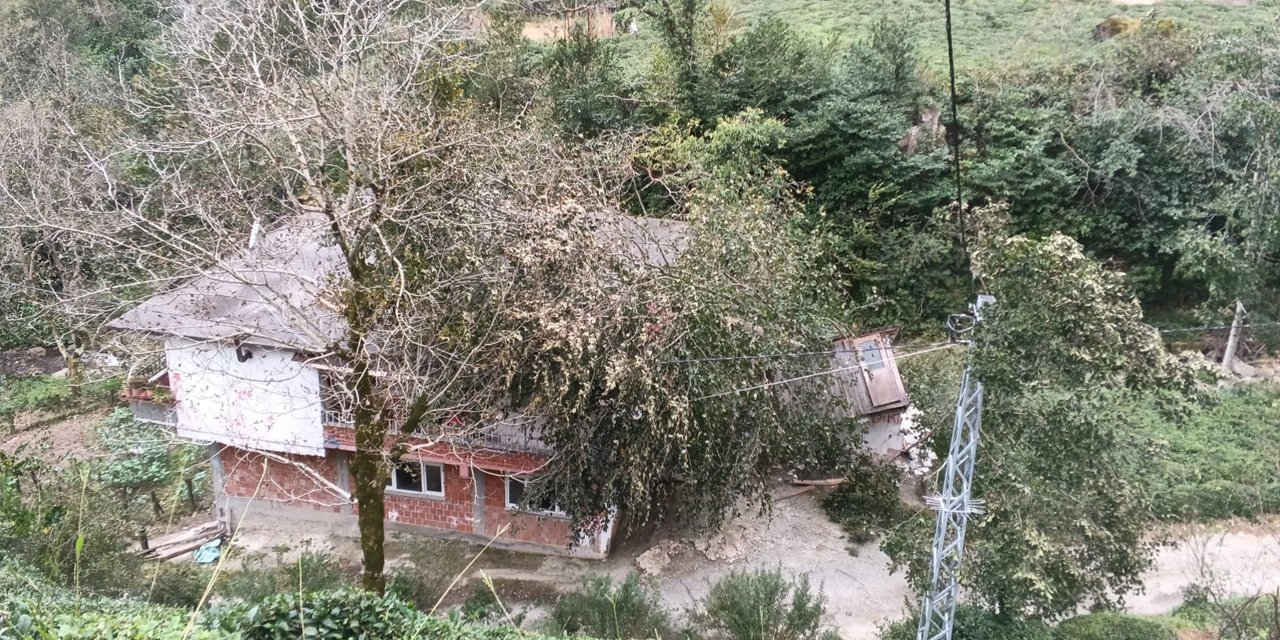 Kuvvetli rüzgâr nedeniyle devrilen ağaç evin çatısına düştü