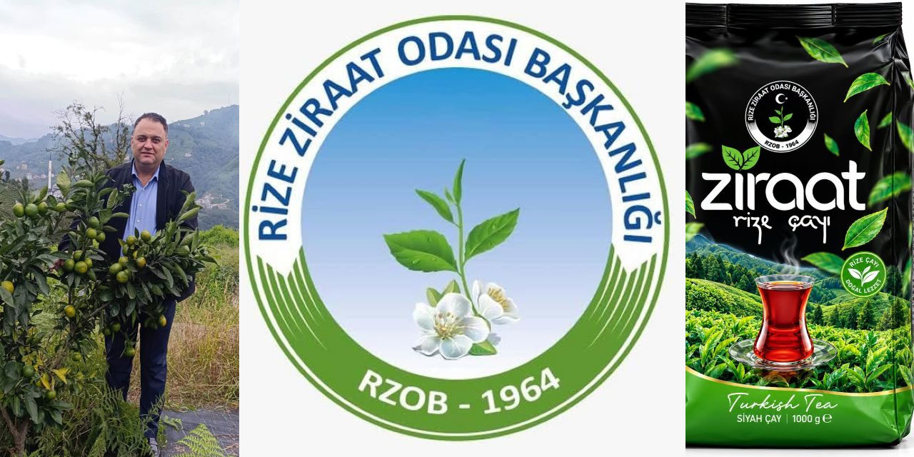Rize Ziraat Odası Kendi Çay Markasını Çıkardı: "Ziraat Rize Çayı" Satışta