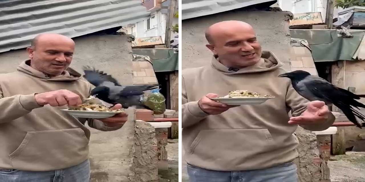 4 yıldır beslediği kargasına elleriyle balık yedirdi