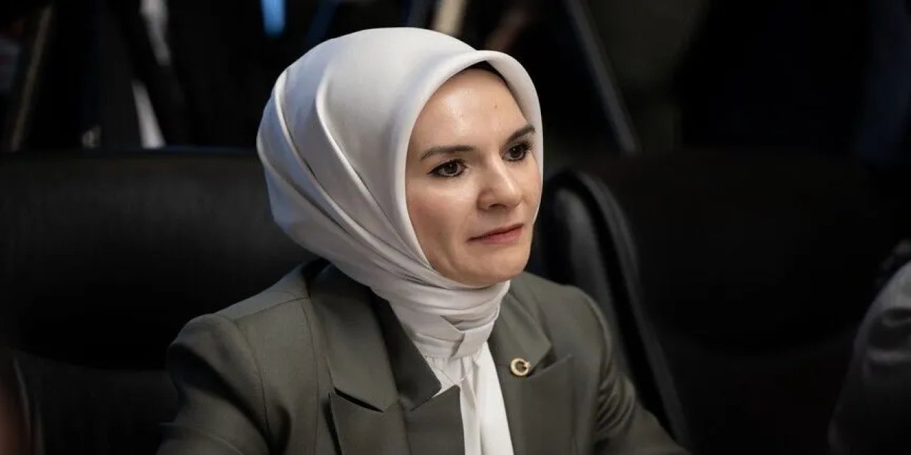 Bakan Göktaş: Gazi Kimlik Kartları'nı teslim etmeye başladık