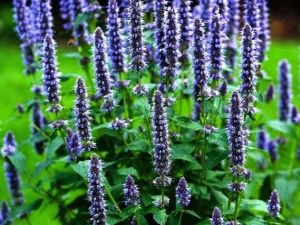 Mevsimsel Geçişlere Dikkat