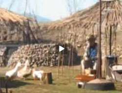 Karadeniz'in Crusoe'su - VİDEO