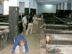Zeytin Depolarında Hummalı Çalışma