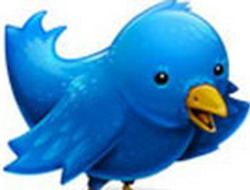 Twitter'cılar habere meraklı