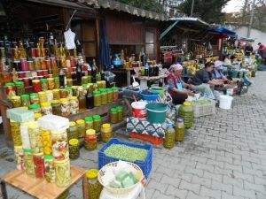 Tirilye’de Yeşil Zeytin Zamanı