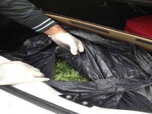 Rize’de Uyuşturucu İle Mücadele