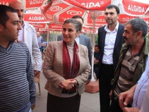 Vatandaştan Ak Parti’li Tülay Kaynarca’ya: “Tek Çaremiz Sizsiniz”