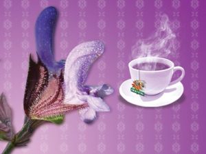 "Bitki Çayları İle Vücut Direncinizi Arttırın"