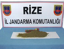 Rize'de Toz Esrar Yakalandı