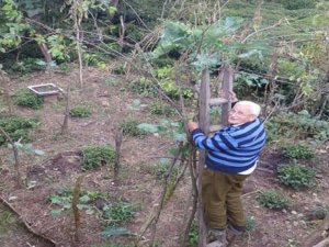 3,5 Metre Boyunda Kara Lahana Olur Mu Demeyin !