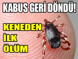 Kabus geri döndü: Keneden 1 kişi öldü